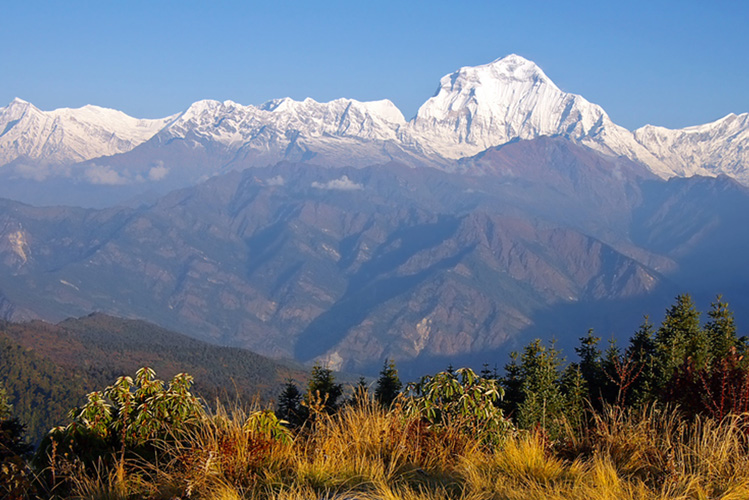 himalaya-img-view